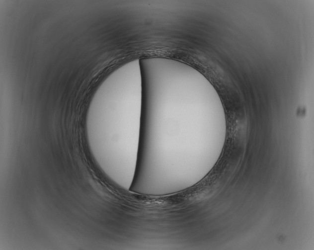 X0000096970599200802151310