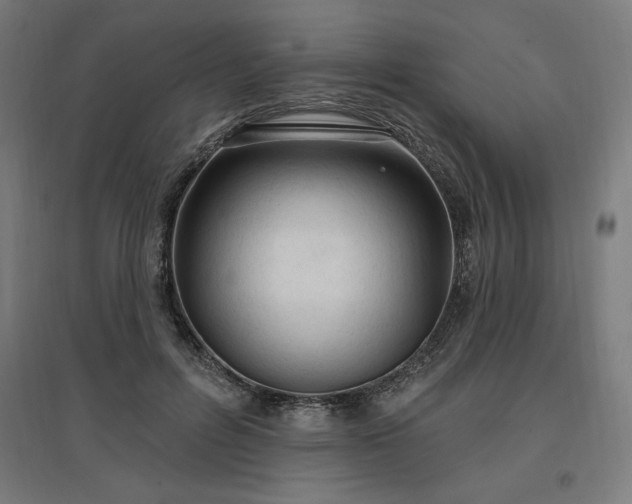 X0000096970600200802151310