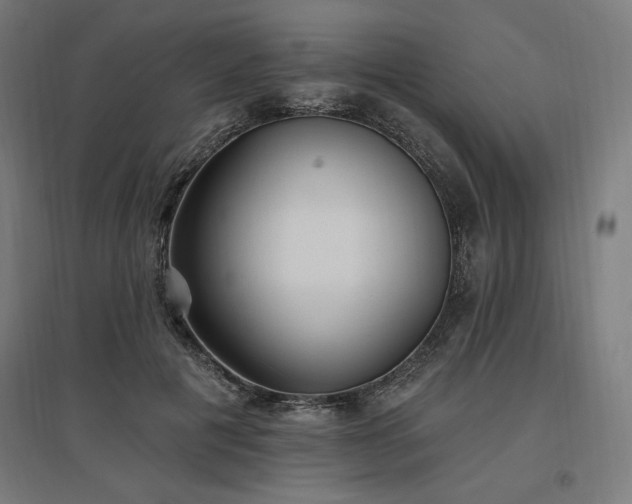 X0000096970601200802151310