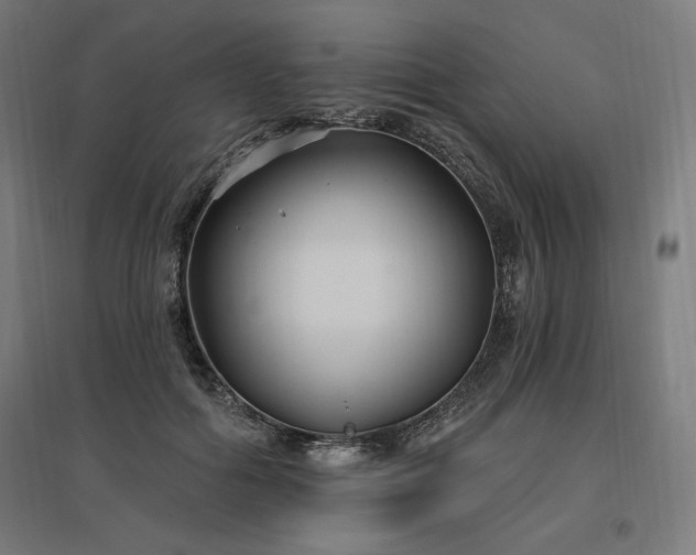 X0000096970602200802151310