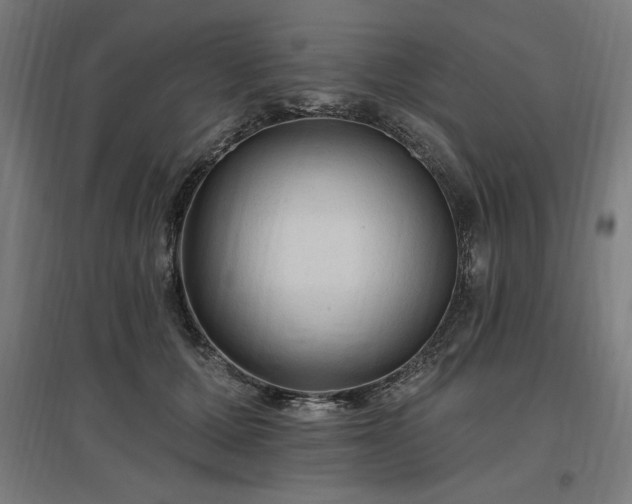 X0000096970607200802151310