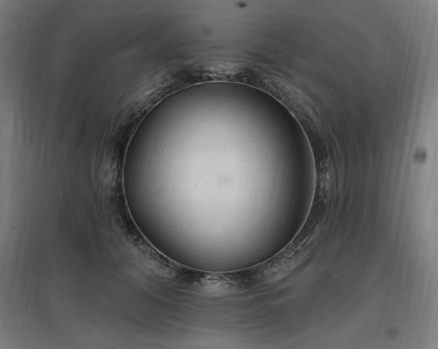 X0000096970608200802151310