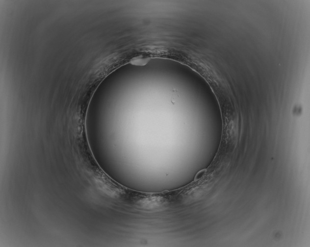 X0000096970609200802151310