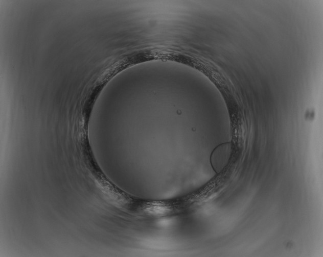 X0000096970610200802151310