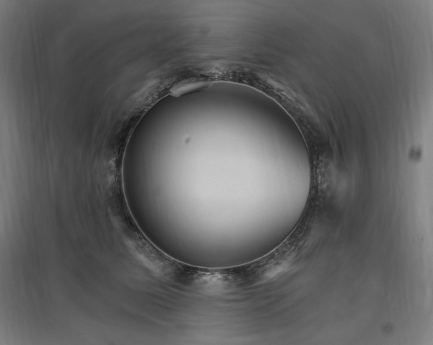X0000096970611200802151310