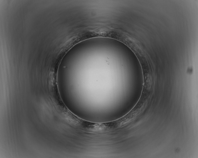 X0000096970612200802151310