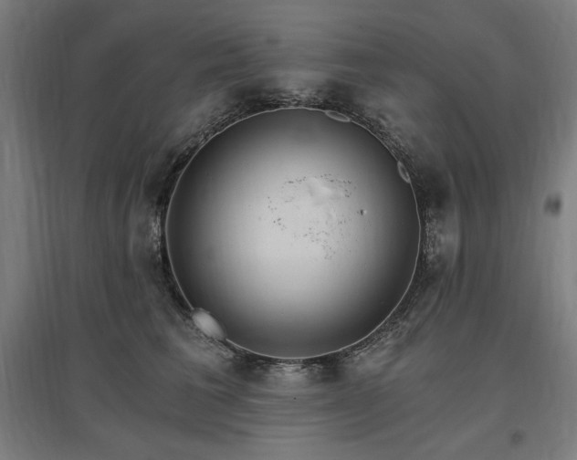 X0000096970613200802151310
