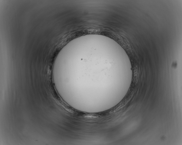 X0000096970614200802151310