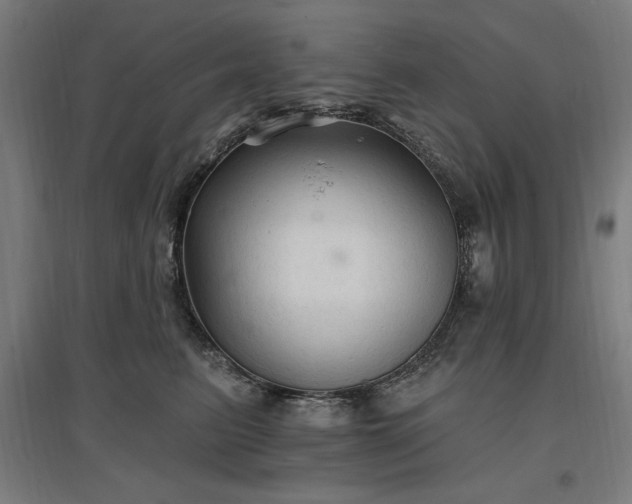 X0000096970615200802151310