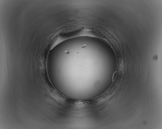 X0000096970616200802151310