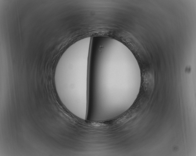 X0000096970617200802151310