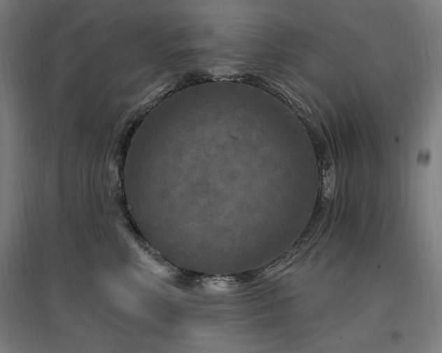 X0000096970618200802151310