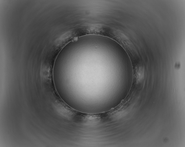 X0000096970619200802151310