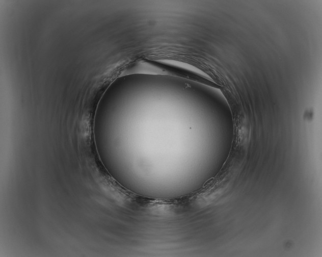 X0000096970620200802151310