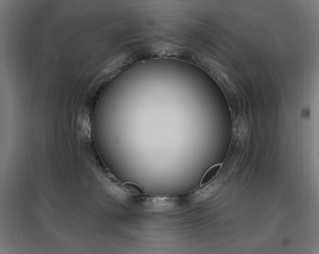 X0000096970622200802151310