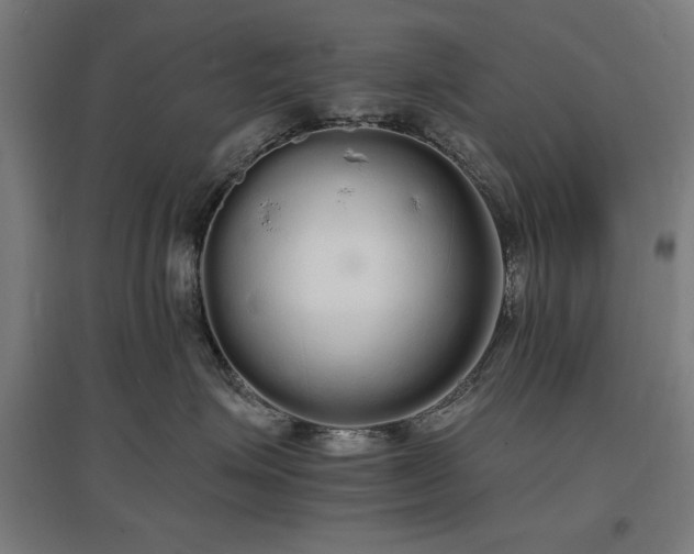 X0000096970623200802151310