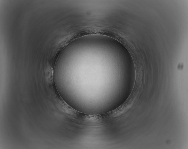 X0000096970624200802151310