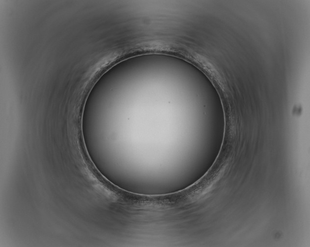 X0000096970625200802151309