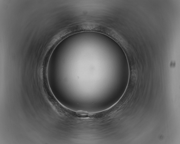 X0000096970626200802151309