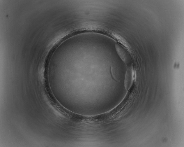 X0000096970627200802151309