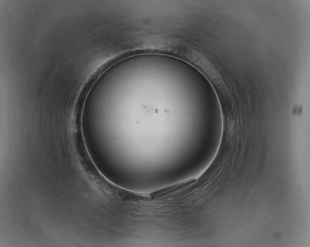 X0000096970628200802151309
