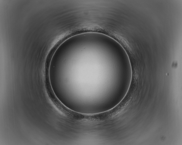 X0000096970630200802151309
