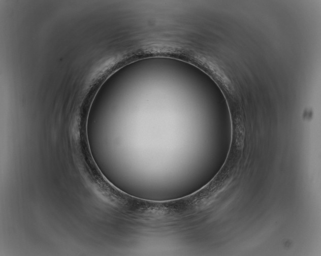 X0000096970631200802151309