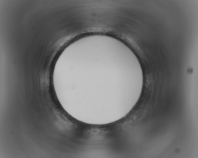 X0000096970632200802151309
