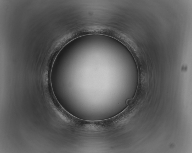 X0000096970633200802151309