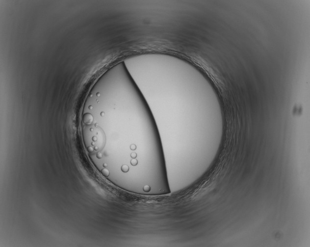 X0000096970634200802151309
