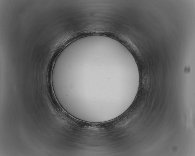 X0000096970635200802151309