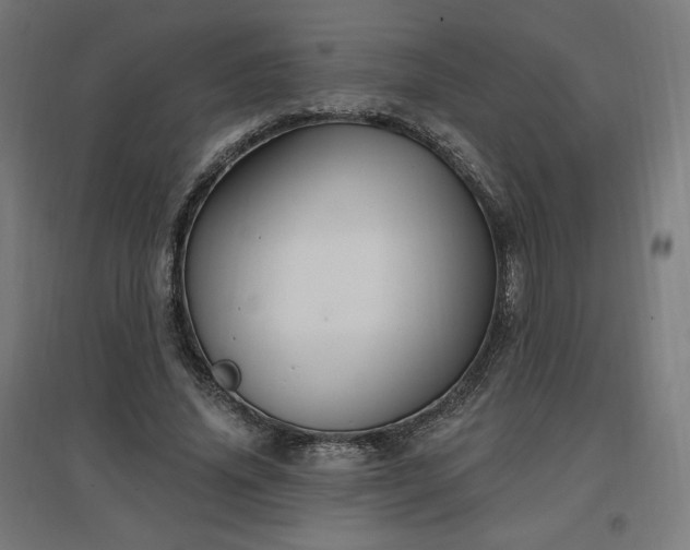 X0000096970636200802151309