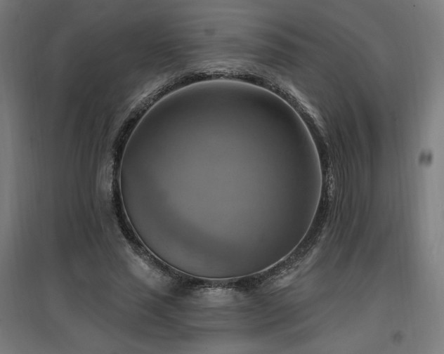 X0000096970637200802151309