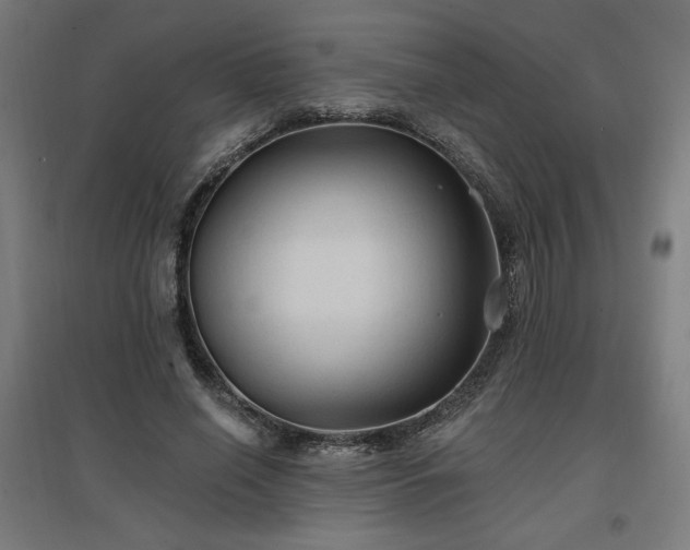 X0000096970638200802151309