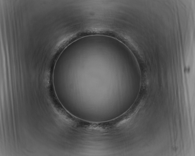 X0000096970640200802151309