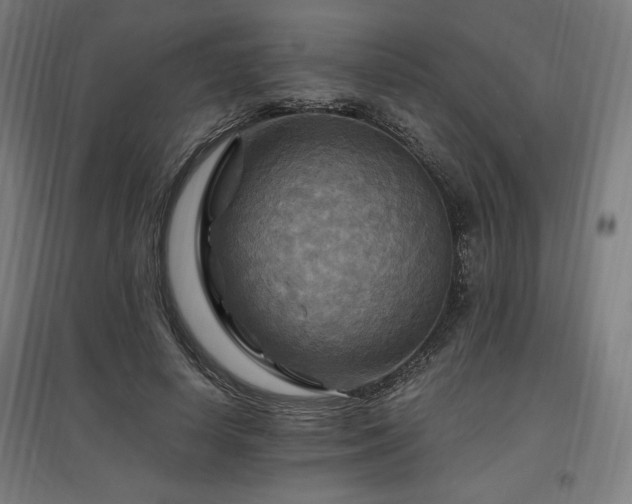 X0000096970642200802151309