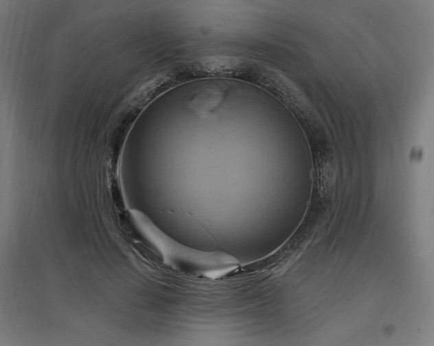 X0000096970644200802151309