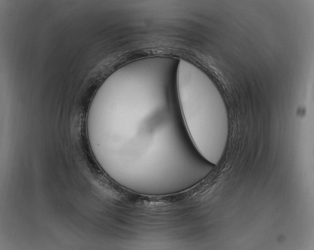 X0000096970645200802151309