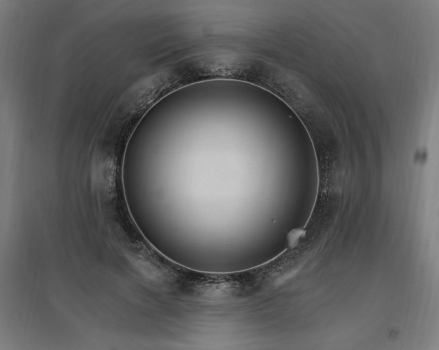 X0000096970646200802151309