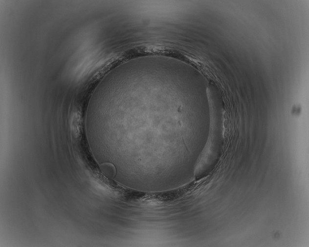 X0000096970648200802151309