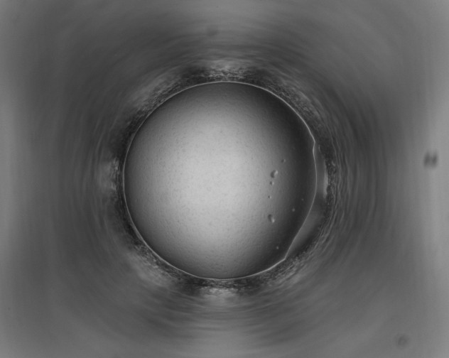 X0000096970649200802151309