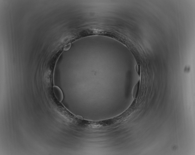 X0000096970650200802151309
