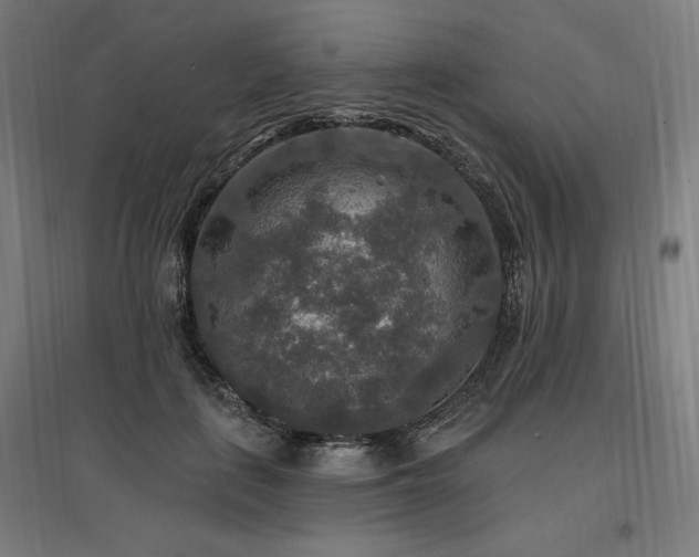 X0000096970651200802151309