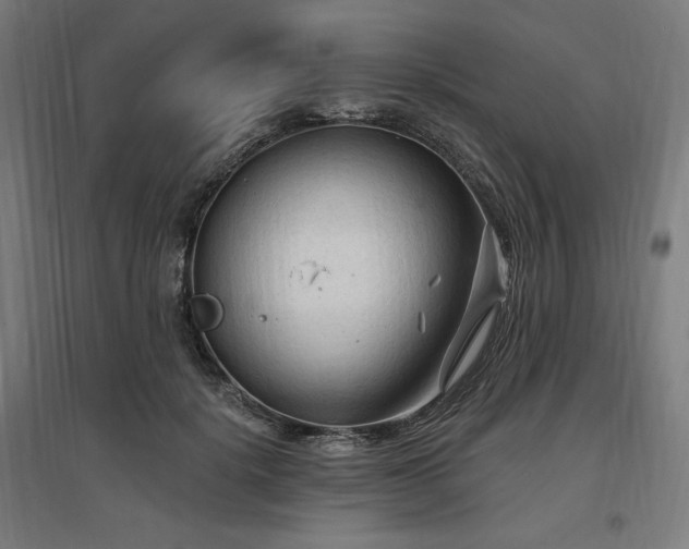 X0000096970652200802151309