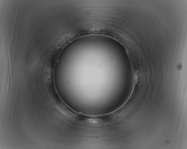 X0000096970654200802151309