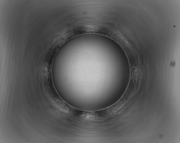 X0000096970655200802151309