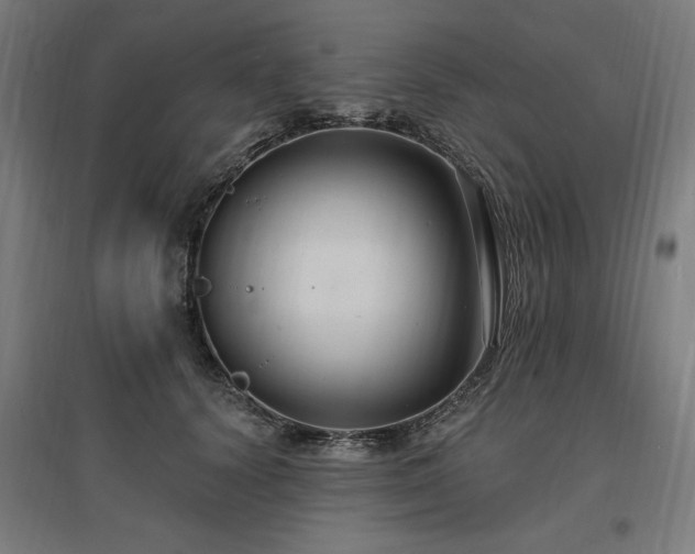 X0000096970656200802151309