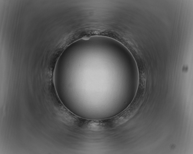 X0000096970657200802151309
