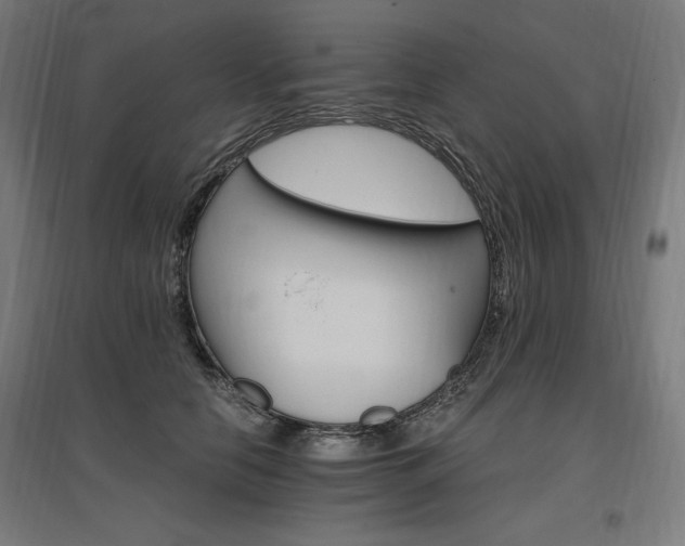 X0000096970658200802151309