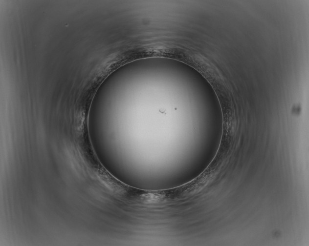 X0000096970660200802151309